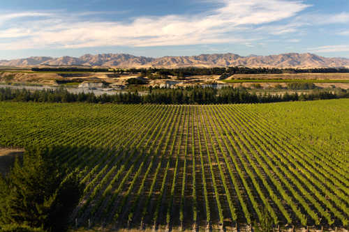 Blenheim-Christchurch 309km | 192mi, 4 Stunden Fahrtzeit