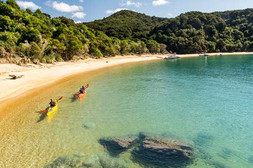 Ausflug zum Abel Tasman National Park (F)