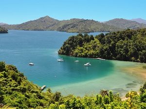 Queen Charlotte Sound, South Island NZ