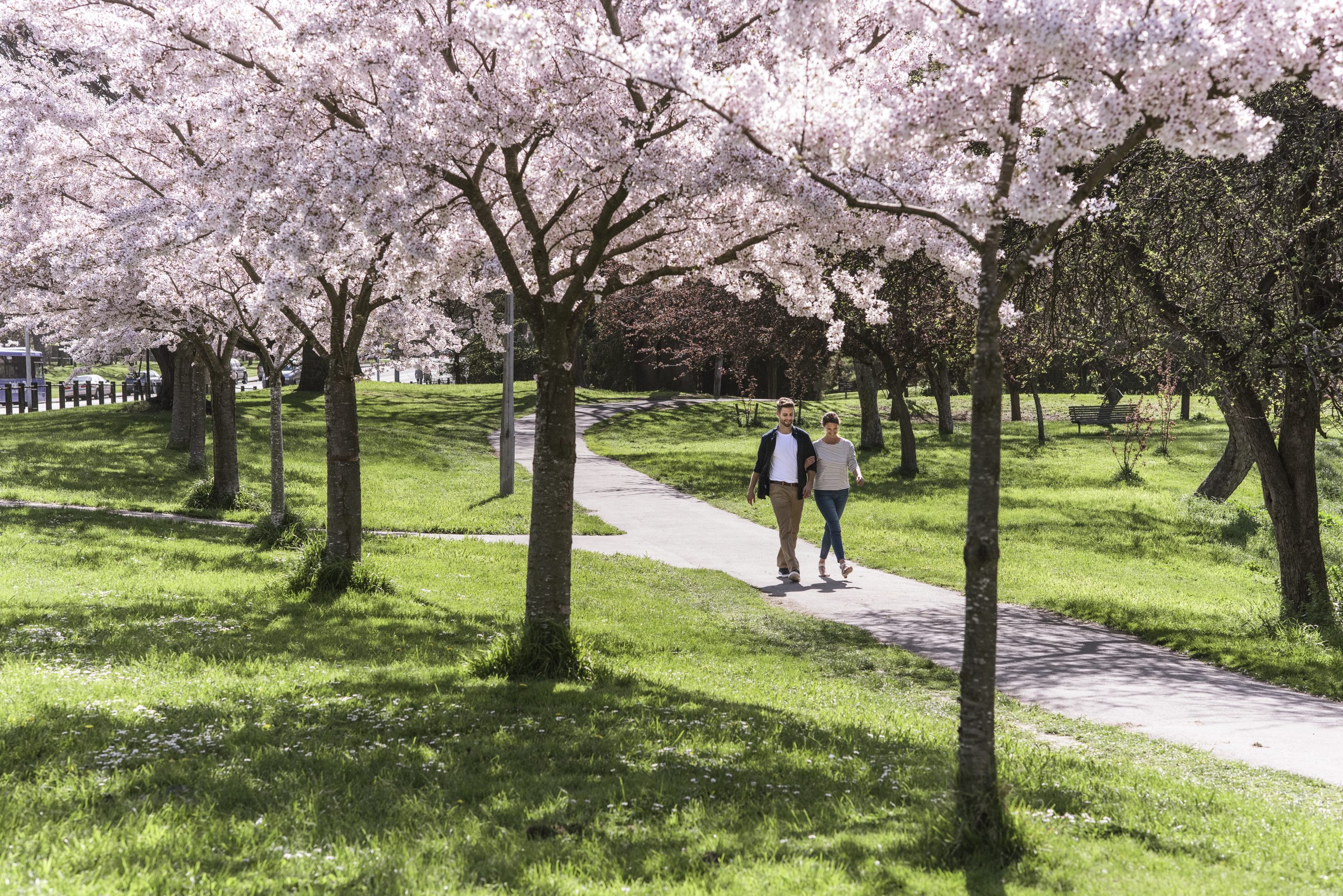 Christchurch (A)