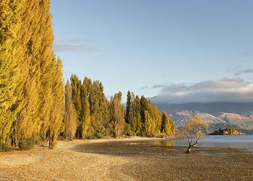 Fox Glacier-Queenstown 328km | 203mi, 4 Stunden 30 Minuten 