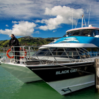 Akaroa narbour nature cruise