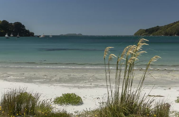 Stewart Island at leisure (B, D)