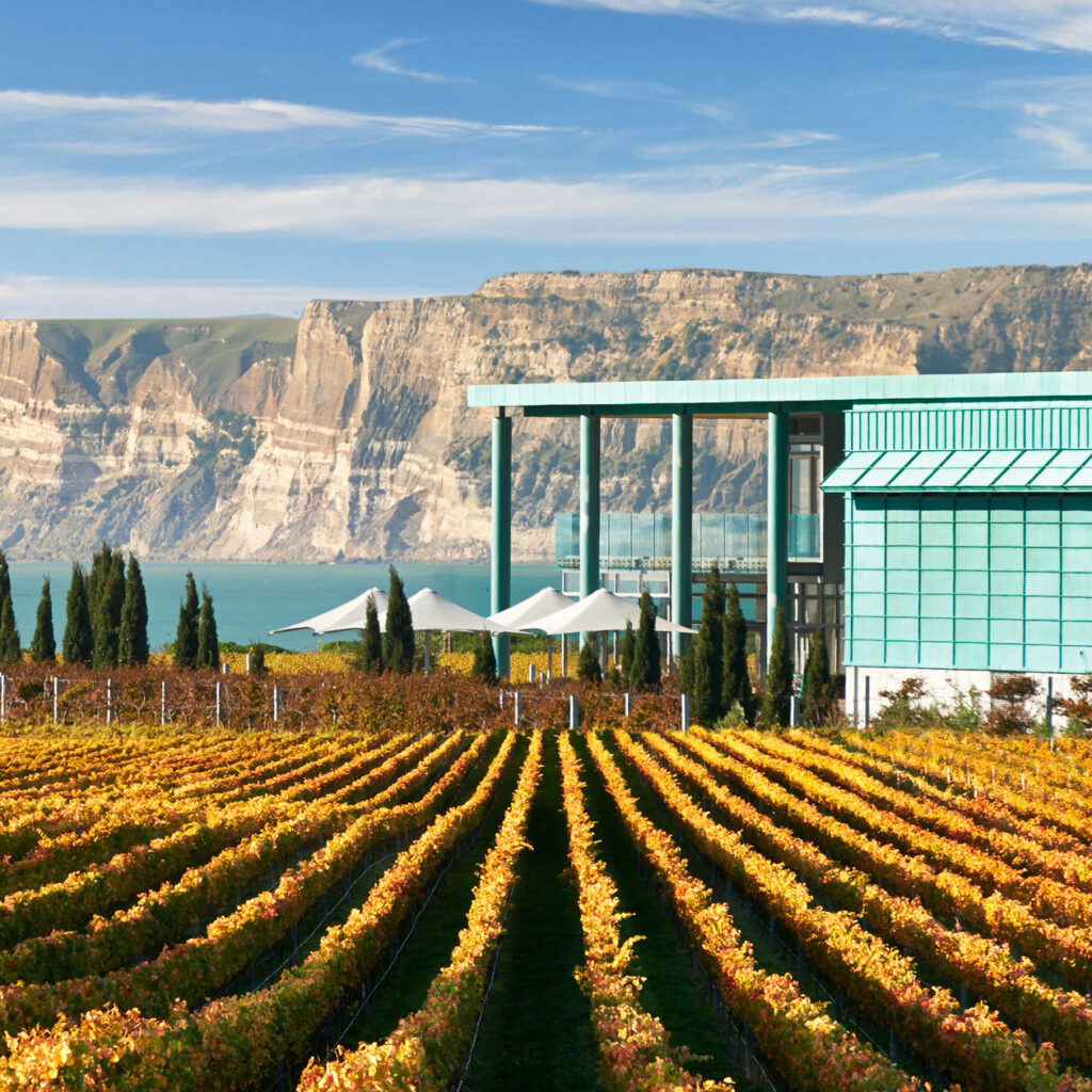 Elephant Hill Winery, Hawkes' Bay