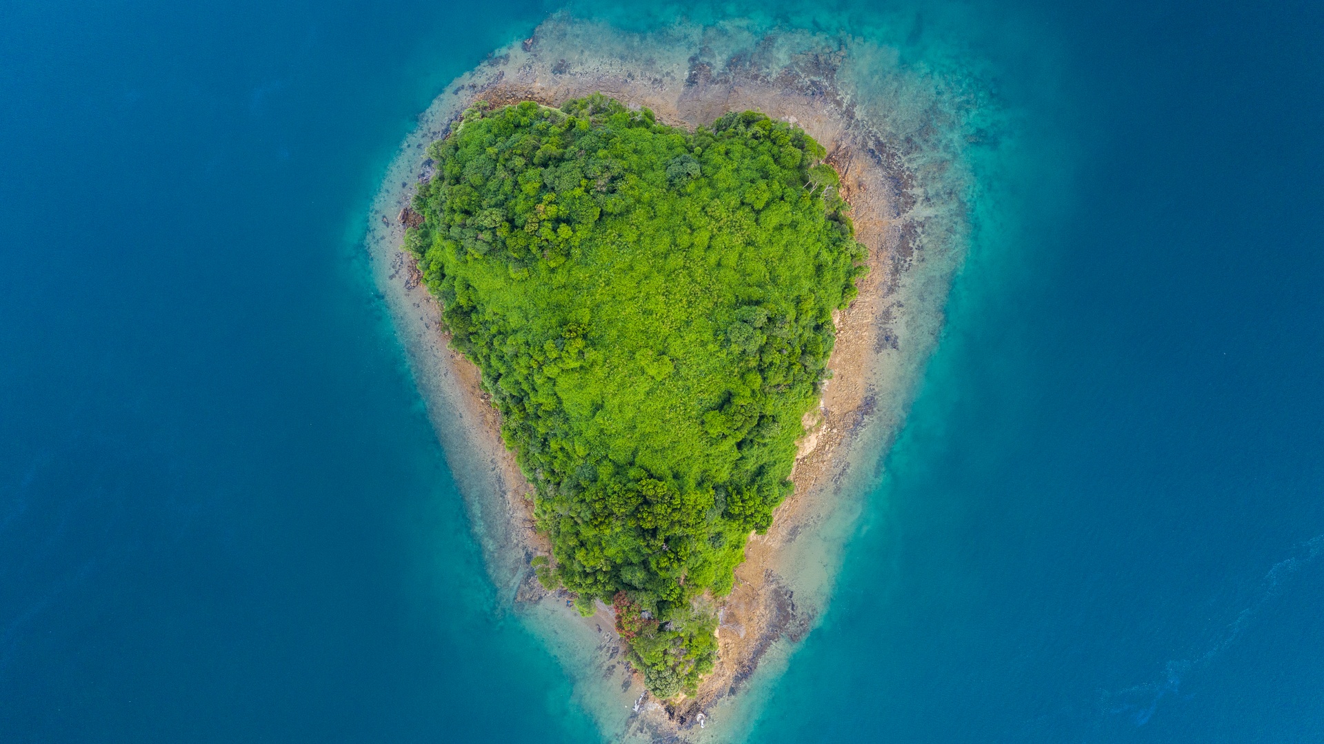 Herzförmige grüne Insel in türkisfarbenem Wasser aus der Vogelperspektive