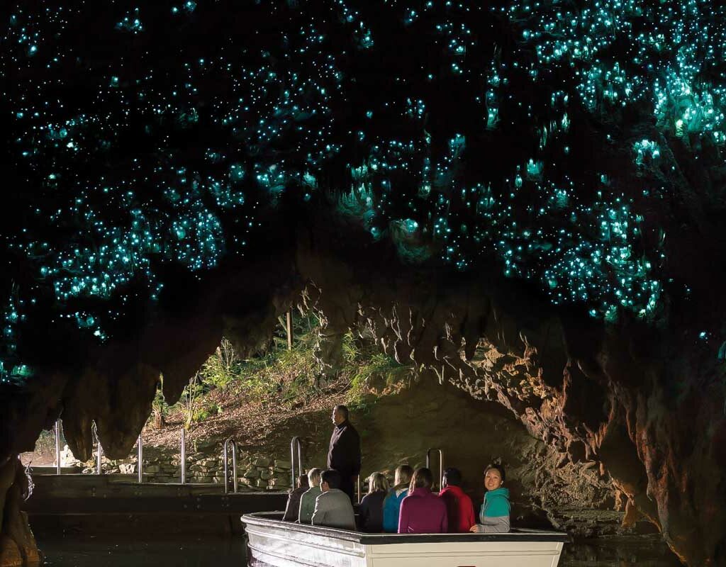 waitomo caves boat tour