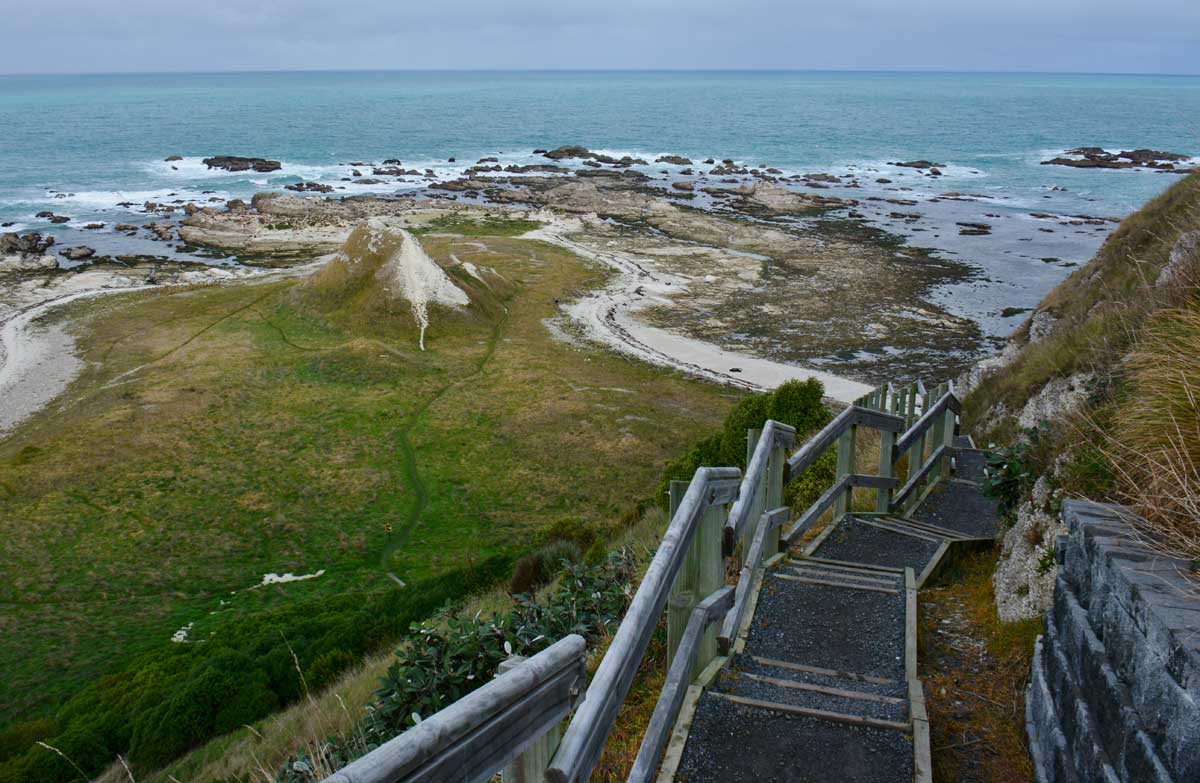 Kaikoura Peninsula walkway
